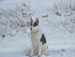     
: IMG_0605.jpg
: 39
:	116.4 
ID:	2886688