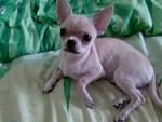     
: 20110428113242.jpg
: 38
:	189.8 
ID:	2886828