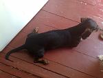     
: 18062011037.jpg
: 31
:	84.8 
ID:	2890160