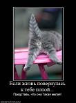     
: попа.jpg
: 62
:	24.0 
ID:	2890255