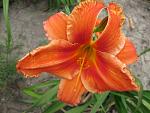     
: IMG_1470.JPG
: 14
:	160.6 
ID:	2890604