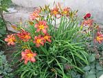     
: IMG_1525.JPG
: 15
:	261.5 
ID:	2890607