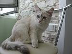     
: IMG_4286.jpg
: 16
:	36.9 
ID:	2891451