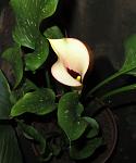     
: IMG_1405.jpg
: 24
:	140.8 
ID:	2896953