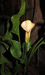     
: IMG_1406.jpg
: 18
:	133.1 
ID:	2896954