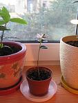     
: IMG_6107_новый размер.jpg
: 76
:	96.1 
ID:	2903545