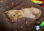     
: DSC_0655.jpg
: 219
:	39.4 
ID:	290474