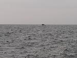     
: DSC00116.jpg
: 34
:	78.8 
ID:	2904767