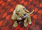     
: DSC_0664.jpg
: 236
:	62.0 
ID:	290478