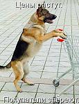     
: 1311112048_1294850706_1293174764_kotomatrix_1.jpg
: 16
:	54.4 
ID:	2910853