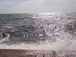     
: DSC00119.jpg
: 51
:	225.0 
ID:	2912150