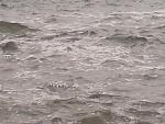     
: DSC00132.jpg
: 38
:	105.8 
ID:	2912152