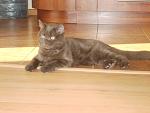     
: DSC07118.jpg
: 61
:	100.1 
ID:	2912370