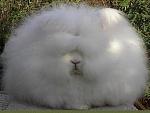     
: img_358482_6_0.jpg
: 11
:	15.3 
ID:	291257