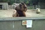     
: I111MAG0224.jpg
: 299
:	217.3 
ID:	2914128