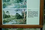     
: 1111IMAG0217.jpg
: 245
:	182.5 
ID:	2914129