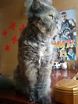     
: DSC00386.jpg
: 15
:	95.5 
ID:	2914999