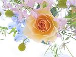     
: flowers.jpg
: 5
:	138.7 
ID:	2916208