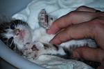     
: IMG_0590.JPG
: 107
:	74.8 
ID:	2916871