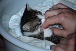     
: IMG_0593.JPG
: 96
:	77.1 
ID:	2916872