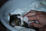     
: IMG_0592.JPG
: 87
:	70.1 
ID:	2916873