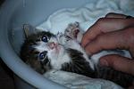     
: IMG_0591.JPG
: 95
:	68.2 
ID:	2916875
