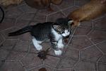     
: IMG_0589.JPG
: 117
:	69.1 
ID:	2916876