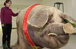     
: Gigant_6.jpg
: 30
:	70.3 
ID:	2919868