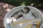     
: IMG_0599.JPG
: 104
:	97.8 
ID:	2921727
