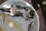     
: IMG_0600.JPG
: 93
:	96.8 
ID:	2921729