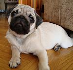     
: DSC03397.jpg
: 47
:	92.0 
ID:	292192