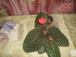     
: DSCF1579.jpg
: 27
:	244.8 
ID:	2926823