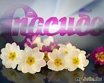     
: 278707_9292thumb500.jpg
: 5
:	41.6 
ID:	2928198