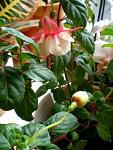     
: P7300008.jpg
: 29
:	163.6 
ID:	2928323