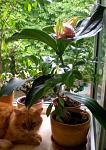     
: P7300018.jpg
: 30
:	181.6 
ID:	2928324