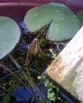     
: Фото059.jpg
: 25
:	87.6 
ID:	2930509