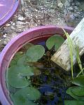     
: Фото060.jpg
: 27
:	127.1 
ID:	2930511