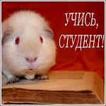     
: uchis_student.jpg
: 4
:	105.8 
ID:	2934050