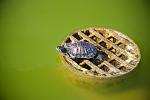     
: IMG_8408_2.jpg
: 54
:	76.1 
ID:	2934762