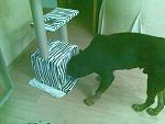     
: 02082011(005).jpg
: 322
:	204.2 
ID:	2937827