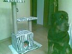     
: 02082011(008).jpg
: 302
:	203.8 
ID:	2937828
