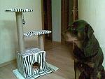     
: 02082011(010).jpg
: 333
:	213.4 
ID:	2937829