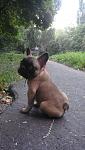     
: DSC04737.jpg
: 50
:	81.8 
ID:	2937893