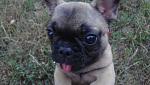     
: DSC04701.jpg
: 49
:	89.4 
ID:	2937894