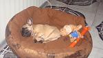     
: DSC04600.jpg
: 60
:	100.1 
ID:	2937895