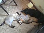     
: IMG_20110802_174419.jpg
: 59
:	152.1 
ID:	2938222