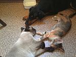     
: IMG_20110802_174548.jpg
: 50
:	134.6 
ID:	2938225