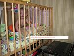     
: IMG_4002.jpg
: 45
:	145.6 
ID:	2942760