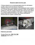     
: Belka.JPG
: 46
:	45.4 
ID:	2942890