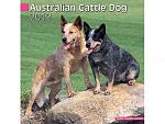     
: AUST-CATTLED0G-FC2012.jpg
: 14
:	47.5 
ID:	2942905